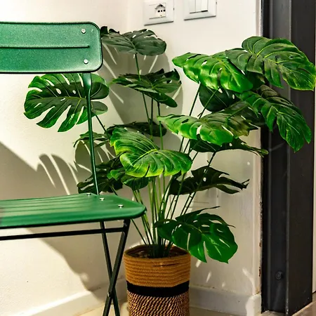 Recreate - Biennale *